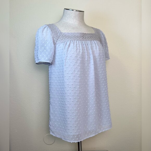 J. CREW Gray Swiss Dot Lace Trim Sheer Top Short Sleeve Blouse Size 0 - Picture 3 of 8